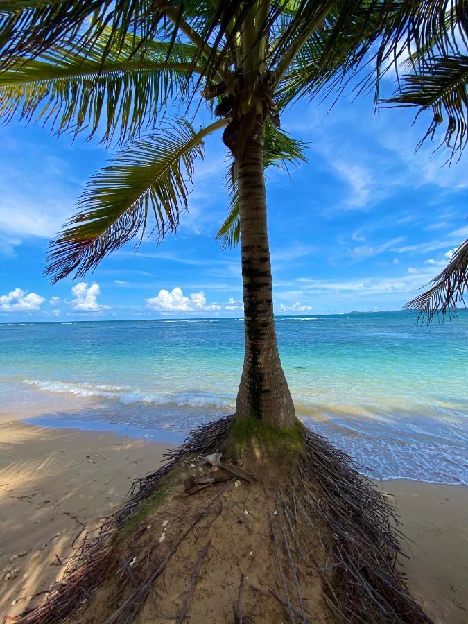 Cozy Beach Apartment Luquillo Exteriér fotografie